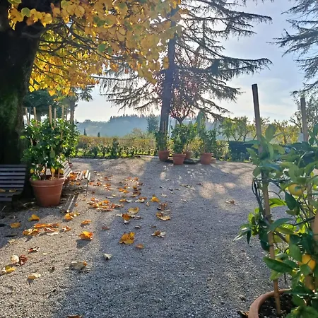 Il Casale Del Cotone San Gimignano