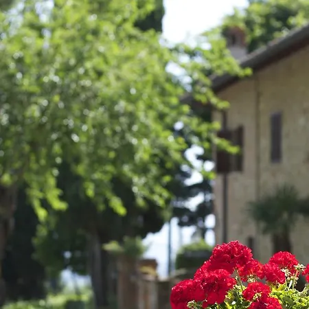 Il Casale Del Cotone Gospodarstwo wiejskie
