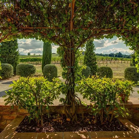 Il Casale Del Cotone Country house