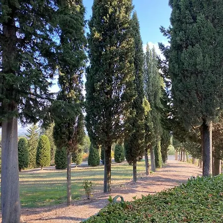 Il Casale Del Cotone * San Gimignano