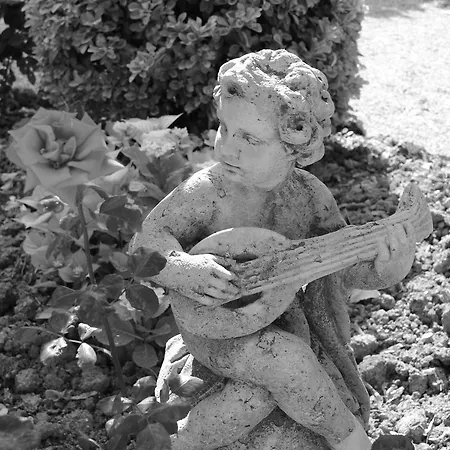 Il Casale Del Cotone Country house *