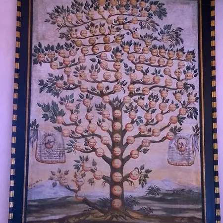 Country house Il Casale Del Cotone
